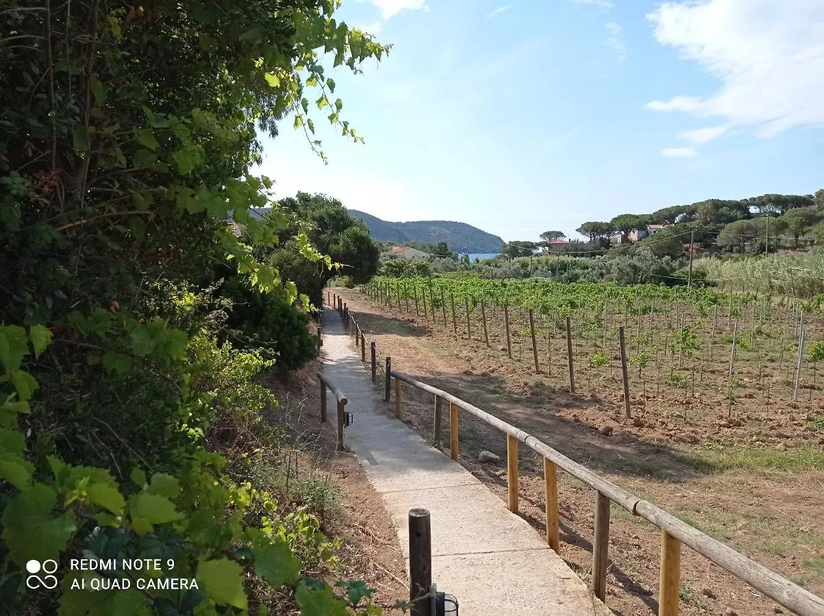 La Mi' Elba Lägenhet Lacona 0*,  Italien